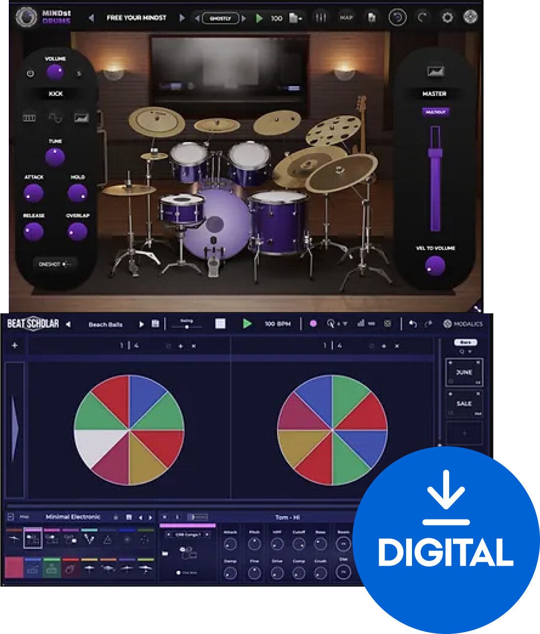 VST Instrument Modalics Groove Mastery Bundle (Digital produkt)