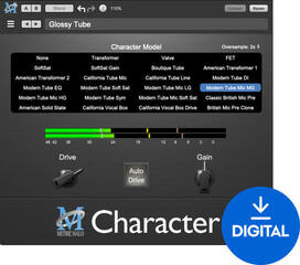 Tonstudio-Software Plug-In Effekt Metric Halo MH Character v4 (Digitales Produkt)