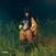 LP deska SZA - SOS Deluxe: Lana (Deluxe Edition) (Green Coloured) (4 LP)