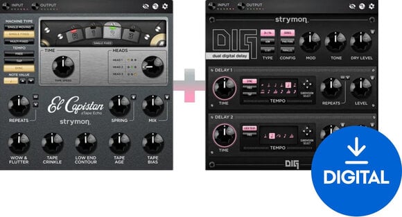 Virtuális effekt Strymon Echo Bundle: El Capistan & DIG (Digitális termék) - 1