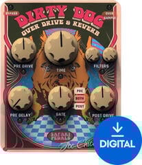 Studijski software plug-in efekt Safari Pedals Dirty Dog Reverb (Digitalni izdelek)