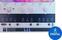 VST Instrument UJAM Euphoria (Digital product)