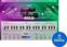 VST Instrument UJAM Rico (Digital product)