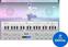 VST Instrument UJAM Idol (Digital product)
