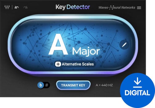 Studio-Effekt-Plugin Waves Key Detector (Digitales Produkt) - 1