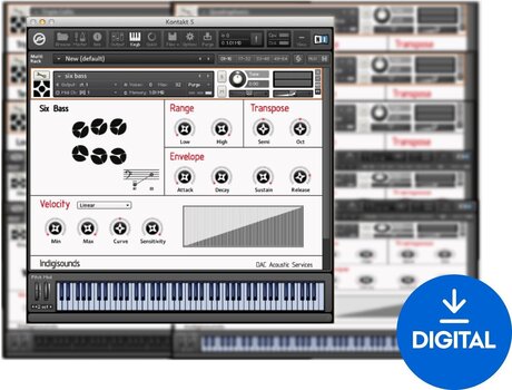VST Instrument IndigiSounds Trinidad Steelpans (Digitalni proizvod) - 1