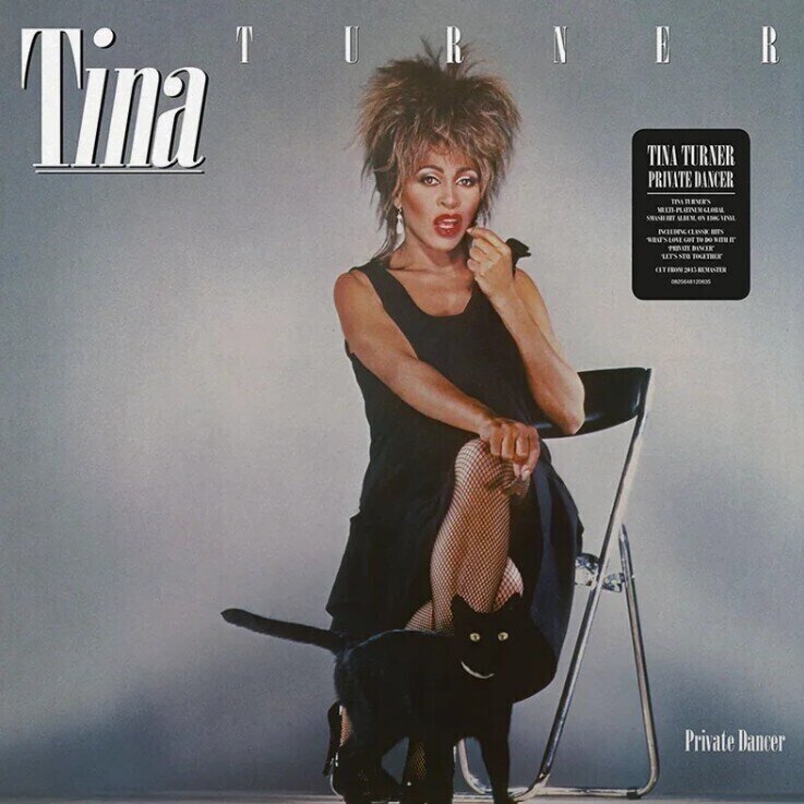 LP ploča Tina Turner - Private Dancer (LP)
