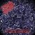 Hudební CD Morbid Angel - Altars Of Madness (Digipak) (2 CD)