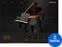 VST Instrument Sampleson MetaPiano (Produto digital)