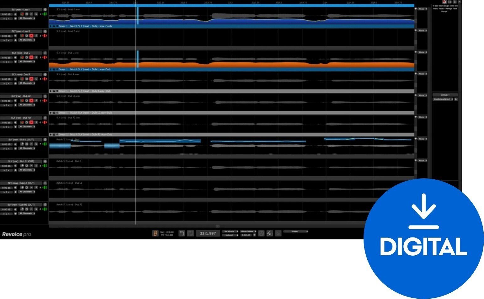 Virtuális effekt Synchro Arts Revoice Pro 5 Crossgrade (Digitális termék)