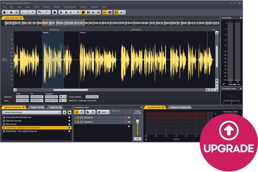 Update / Upgrade / Expansion Acon Digital Acoustica Premium Edition UPG from Standard (Цифровий товар) - 1