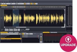 Update / Upgrade / Expansion Acon Digital Acoustica Post Production Suite UPG from Premium (Digitální produkt)