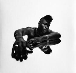 Disc de vinil Lucky Daye - Algorithm (White Coloured) (2 LP)