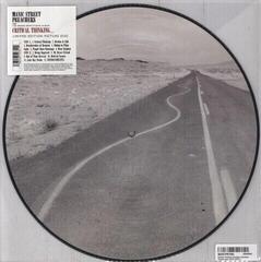 Vinylplade Manic Street Preachers - Critical Thinking (Limited Edition) (Picture Disc) (LP)