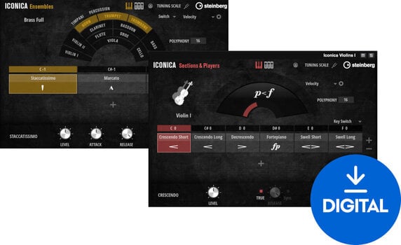 Campioni Audio e Librerie Steinberg Iconica Opus (Prodotto digitale) - 1