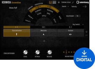 Hangkönyvtár Steinberg Iconica Ensembles (Digitális termék)