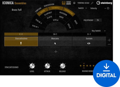 Sample-/äänikirjasto Steinberg Iconica Ensembles (Digitaalinen tuote) - 1