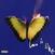 LP deska Maroon 5 - Love Is Like (Marble Yellow Coloured) (LP)