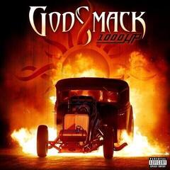 Schallplatte Godsmack - 1000hp (LP)