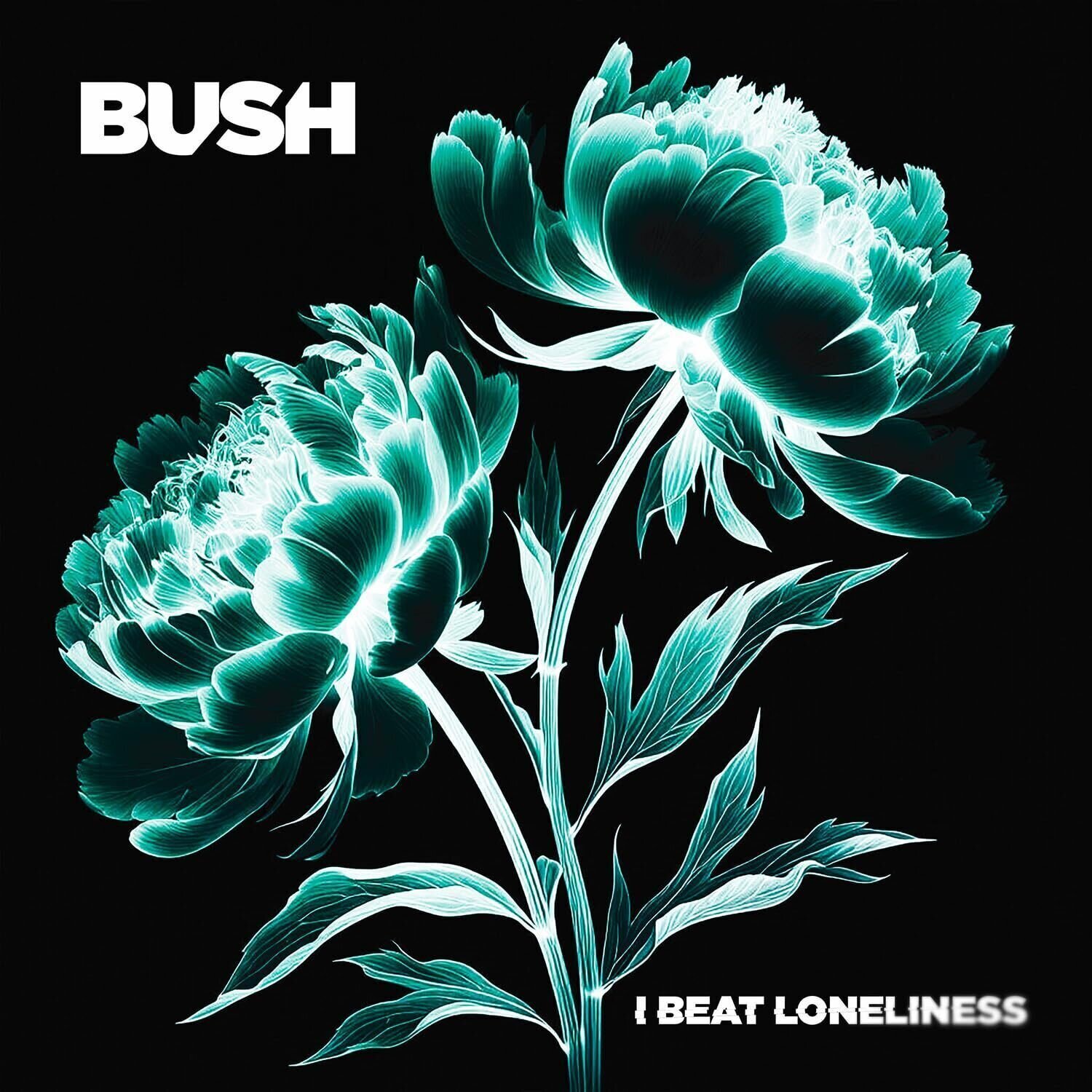 LP deska Bush - I Beat Loneliness (Indie Exclusive) (Gatefold Sleeve) (Coke Bottle Green Coloured) (2 LP)