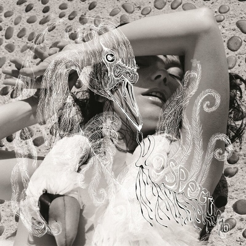 Björk ビョーク Vespertine ヴェスパタイン アナログ 2LP Björk - Vespertine (180g) (2 LP) - Muziker