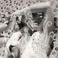 Δίσκος LP Björk - Vespertine (180g) (2 LP)