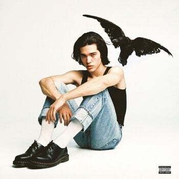LP Conan Gray - Kid Krow (Smoky Gray Coloured) (LP) - 1