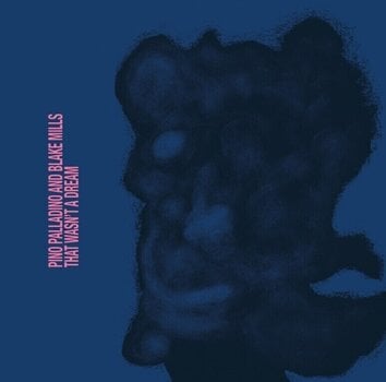 LP ploča Pino Palladino And Blake Mills - That Wasn't A Dream (LP) - 1