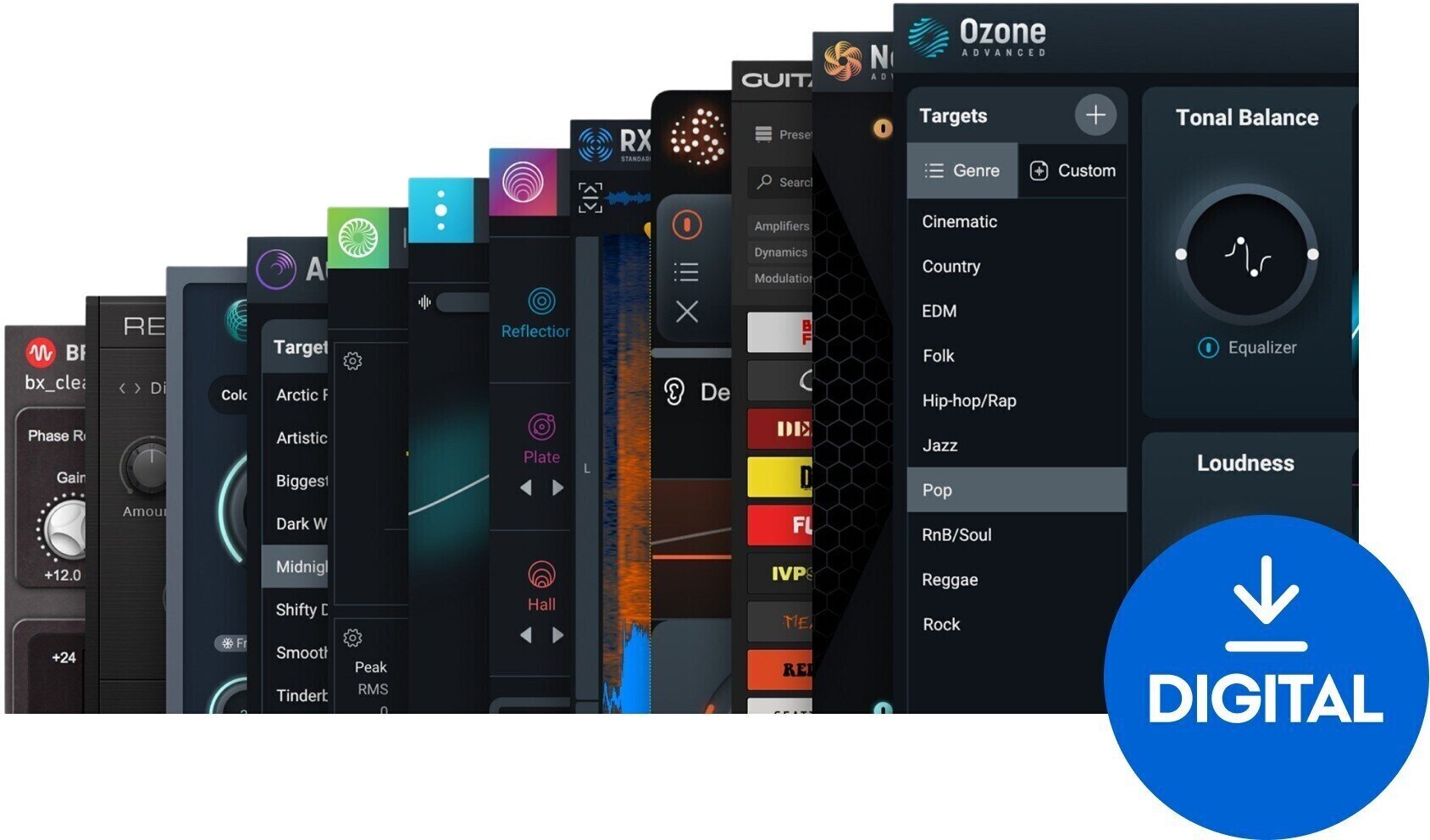 Štúdiový softwarový Plug-In efekt iZotope RX Post Production Suite 8.6 (Digitálny produkt)