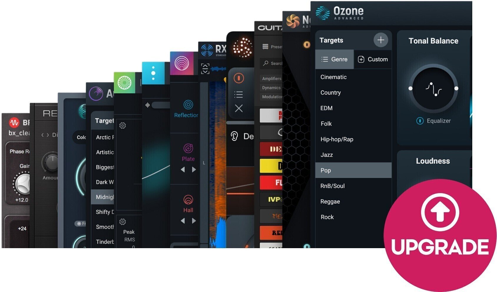 Update / Upgrade / Expansion iZotope RX PPS 8.6: UPG from any previous RX Standard (Digitálny produkt)