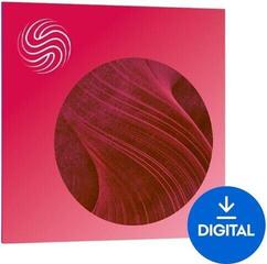 Студио софтуер Plug-In ефект iZotope Velvet (Дигитален продукт)