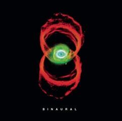 CD диск Pearl Jam - Binaural (Digipak) (CD)