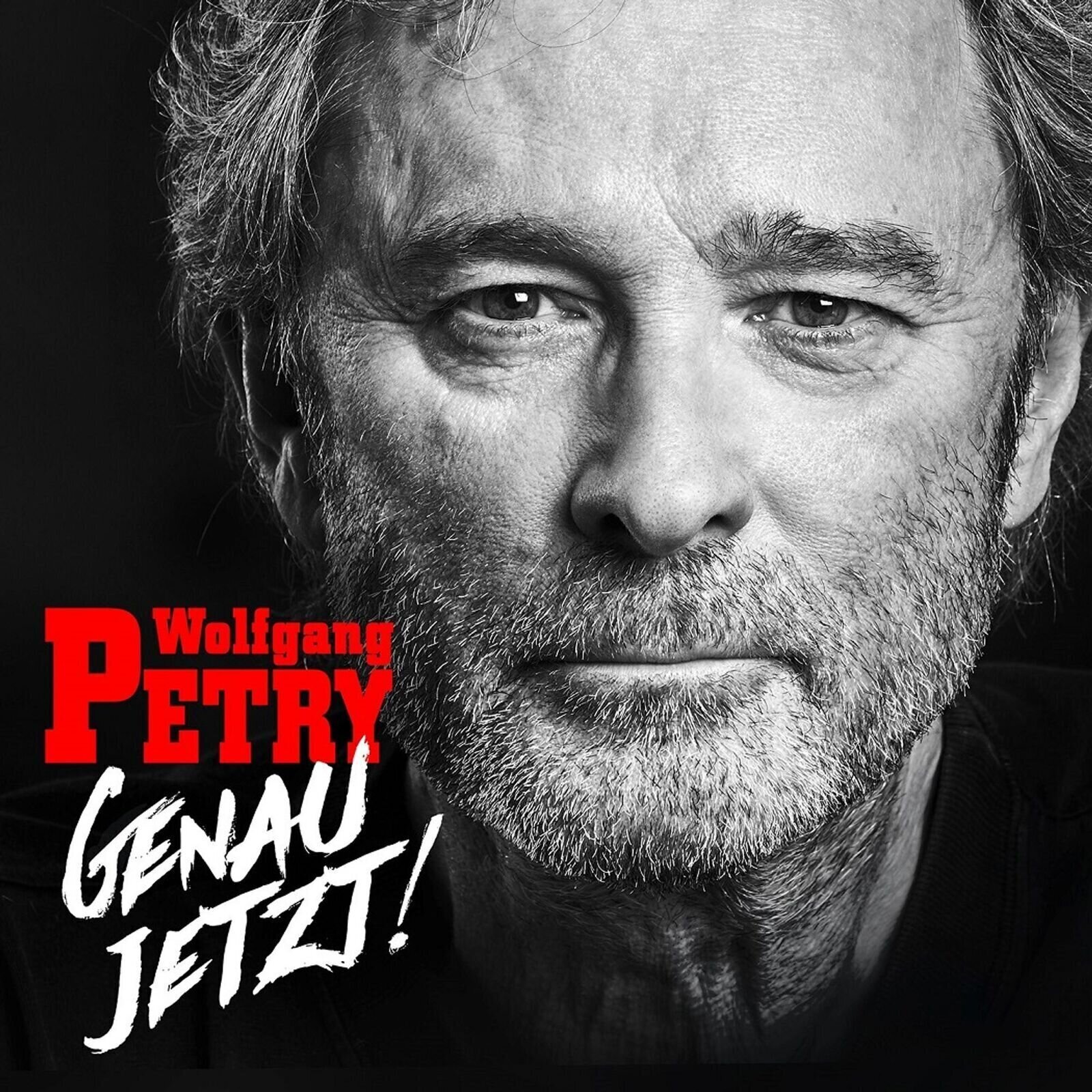 Hudební CD Wolfgang Petry - Genau Jetzt! (CD)