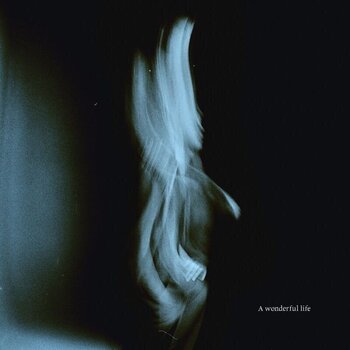 LP plošča Tom Odell - A Wonderful Life (LP) - 1