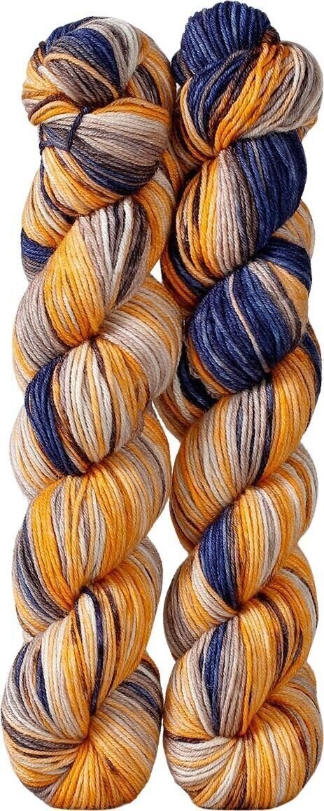 Fios para tricotar Gusto Wool Echoes Fingering 1509 Fios para tricotar
