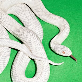 LP plošča Deftones - Private Music (Limited Edition) (Clear Coloured) (LP) - 1