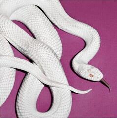 Disco in vinile Deftones - Private Music (Indie Exclusive) (Limited Edition) (Fog Grey Coloured) (LP)