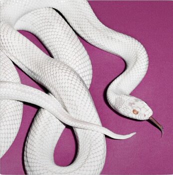 LP plošča Deftones - Private Music (Indie Exclusive) (Limited Edition) (Fog Grey Coloured) (LP) - 1