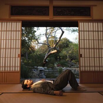 Glasbene CD Rex Orange County - The Alexander Technique (CD) - 1