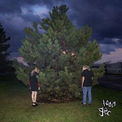 Muziek CD 100 Gecs - 1000 Gecs (Reissue) (CD)