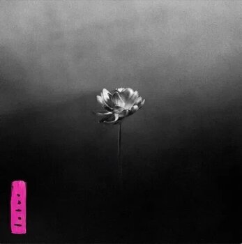 Zenei CD Little Simz - Lotus (CD) - 1