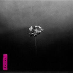 Schallplatte Little Simz - Lotus (2 LP)