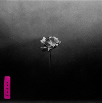 LP deska Little Simz - Lotus (2 LP) - 1