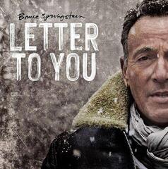 Disque vinyle Bruce Springsteen - Letter To You (Grey Coloured) (2 LP)