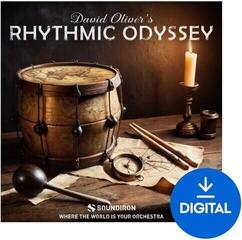 Biblioteca de samples/sons Soundiron Rhythmic Odyssey V2 (Produto digital)