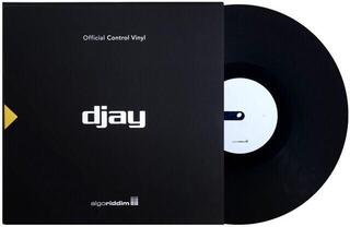 DVS/Timecode Stokyo Algoriddim djay Control Vinyl 12'' DVS/Timecode Black