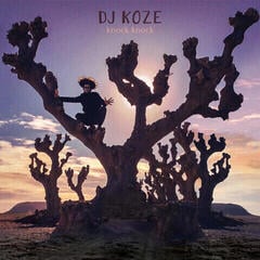 LP ploča DJ Koze - Knock Knock (2 LP + 7" Single)