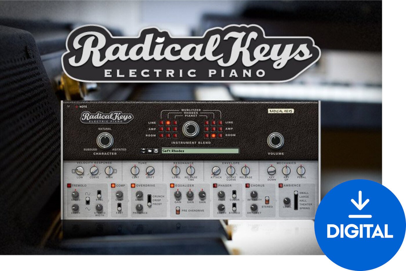 Reason Studios Radical Keys (Digitálny produkt)