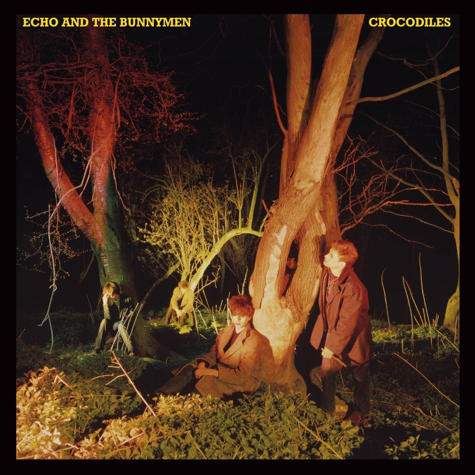 Muzikos kompaktinis diskas Echo & The Bunnymen Crocodiles (CD)