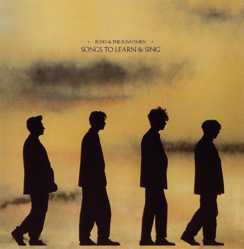 CD диск Echo & The Bunnymen - Songs To Learn & Sing (CD)